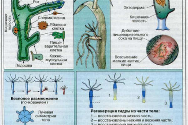 Сайты с наркотиками