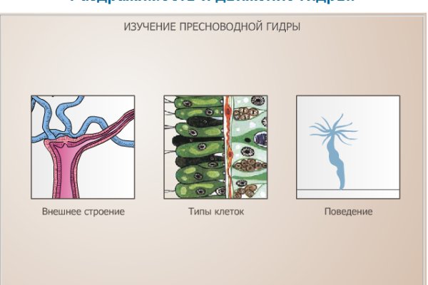 Кракен сайт пишет пользователь не найден