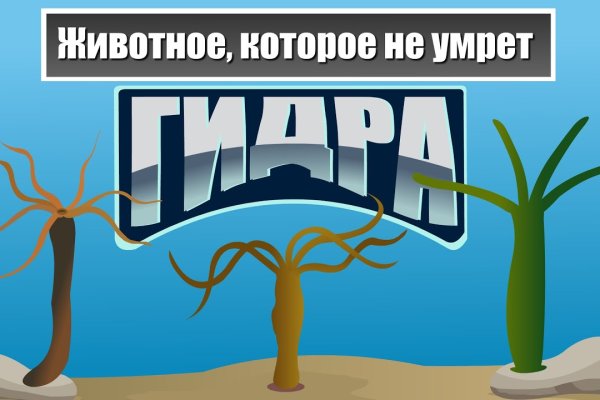 Почему не заходит на кракен